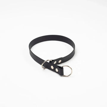 Slip Dog Training Collar (Double Ring)