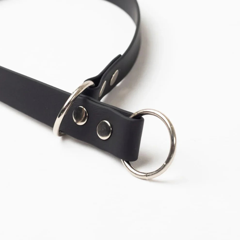 Slip Dog Training Collar (Double Ring)