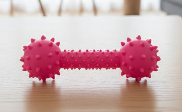Spike Dumbell for Puppies And Dogs