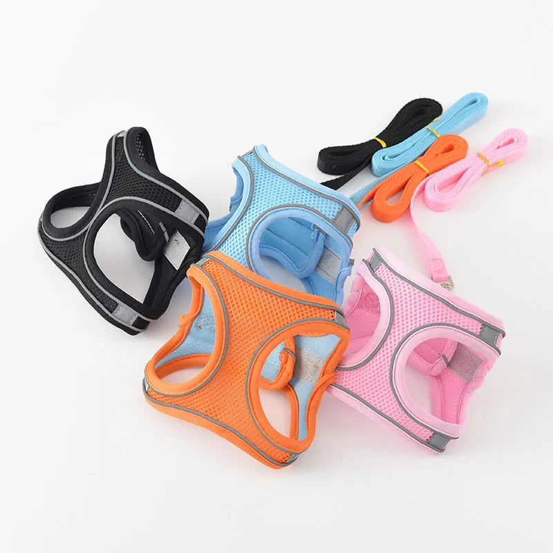Voyager Cat Jacket Harness