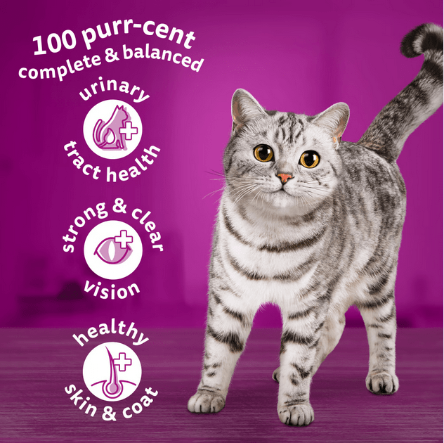WHISKAS Dry Cat Food Chicken 1+ Years