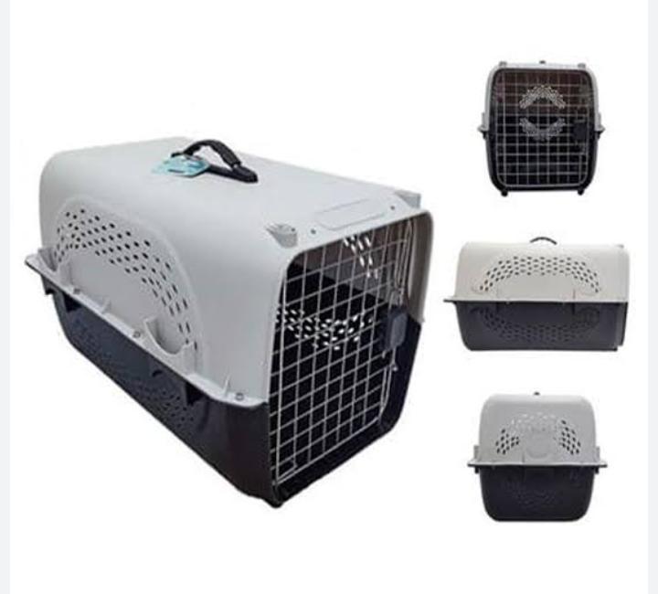 Jet Box carrier with pet