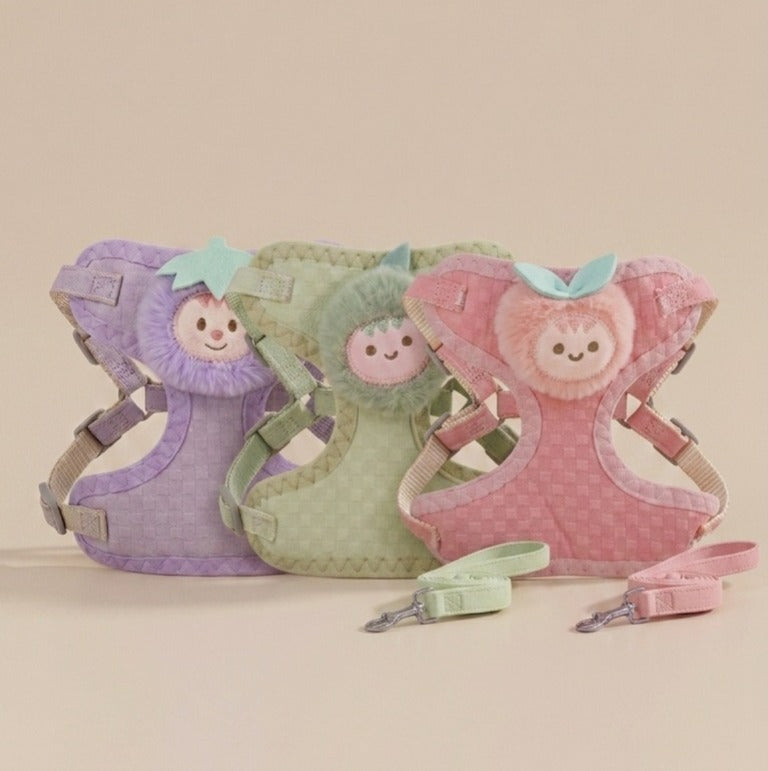 Cute Fruit Charm Harness & Leash for Cats & Puppies Medium