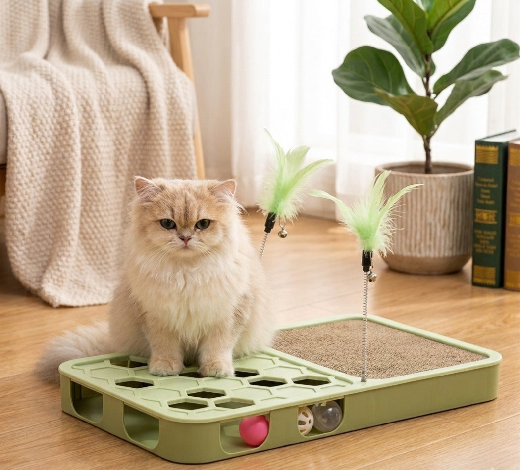 Interactive Cat Puzzle Toy Board with Scratching Pad, sky blue