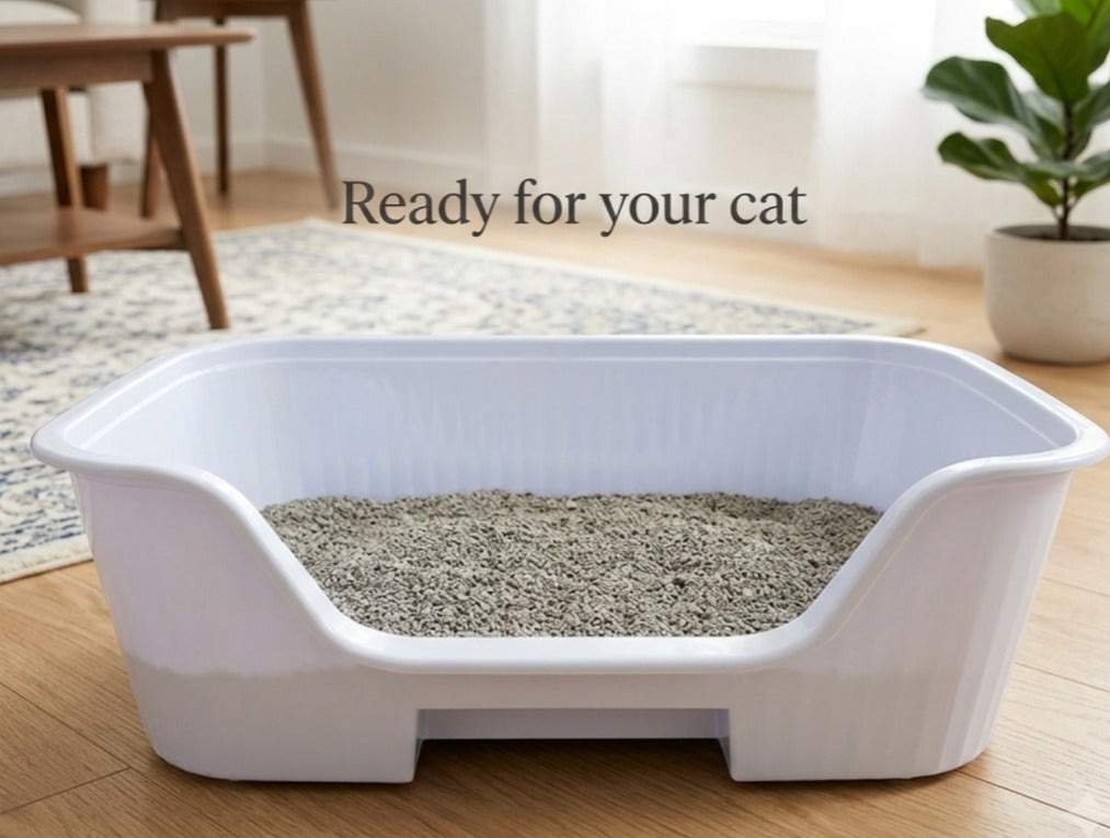 Easy Entry High-Sided Cat Litter Box