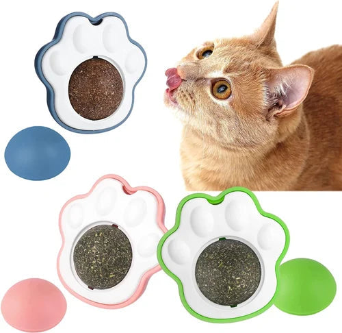 Cat playing with catnip ball